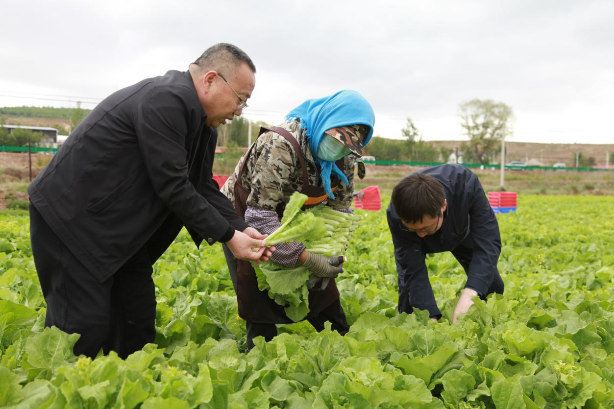 香漠六宝典资料大全